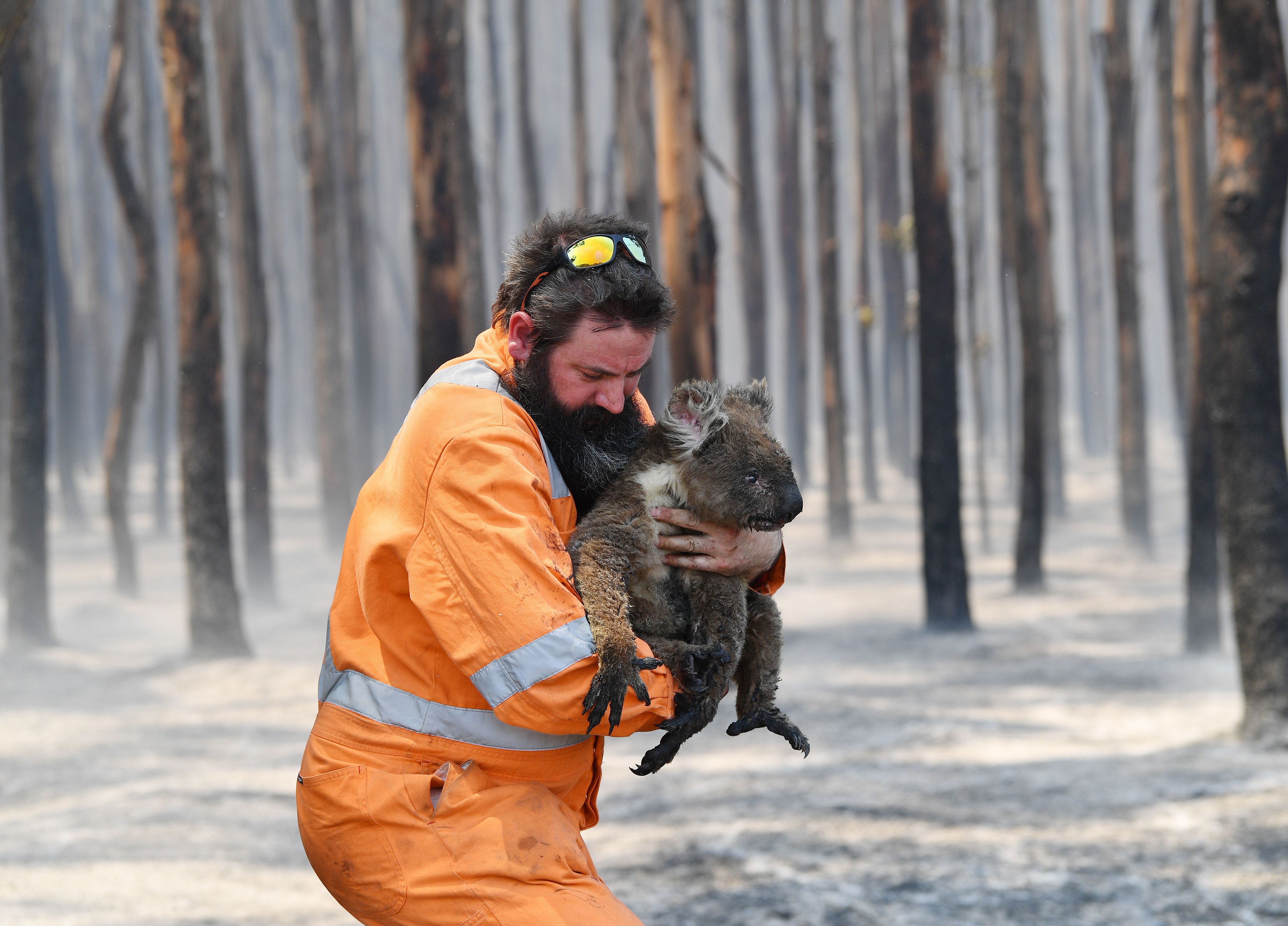 Australian bushfire relief